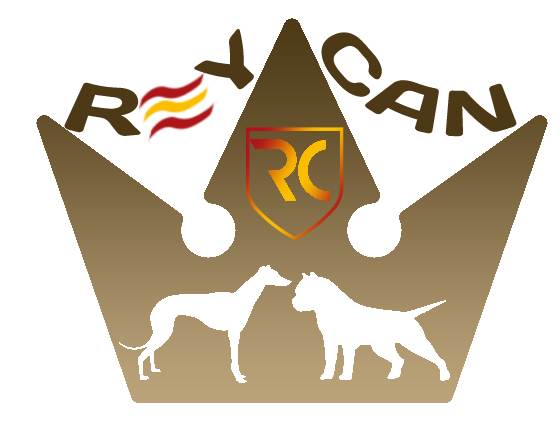 Reycan